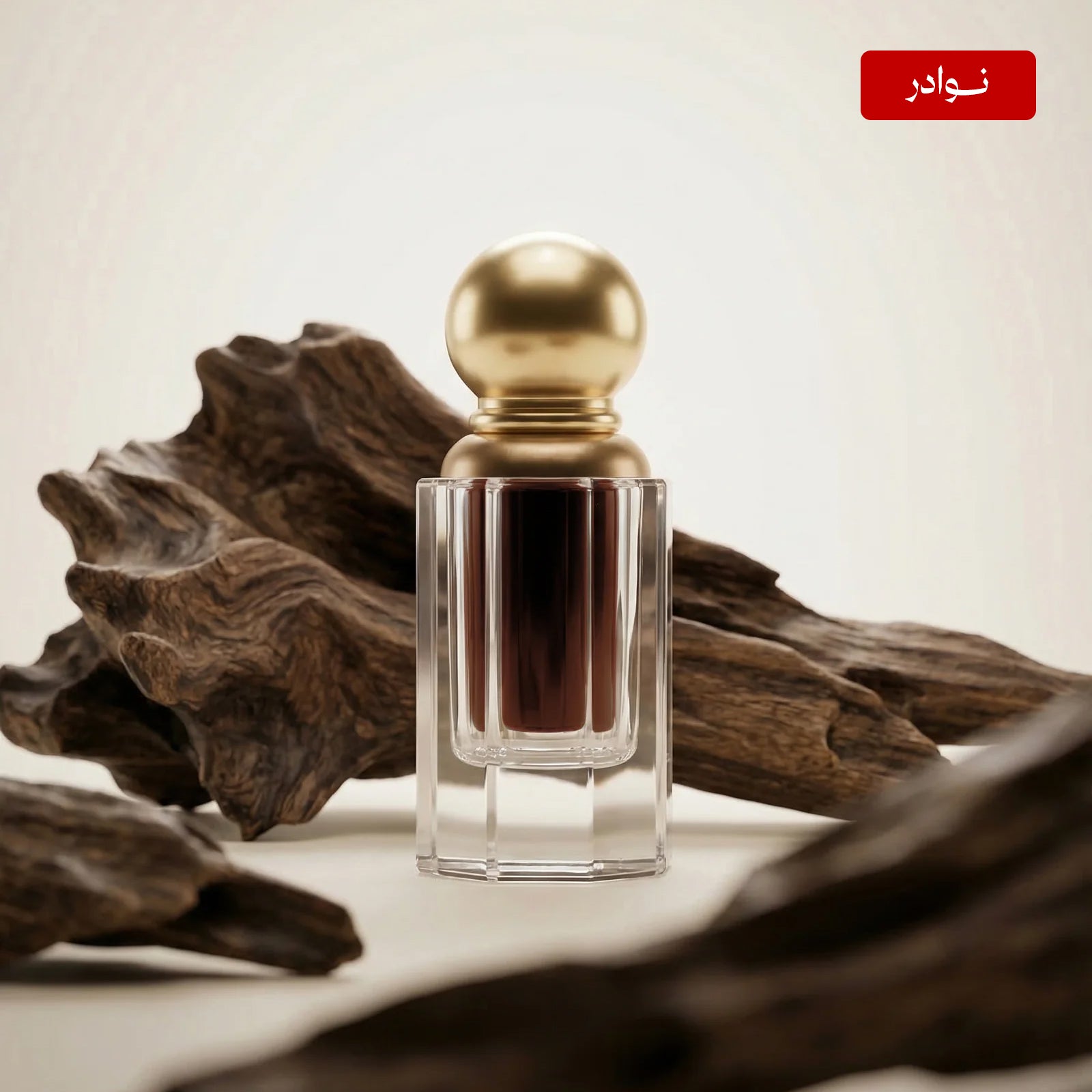 ماليزي 2010