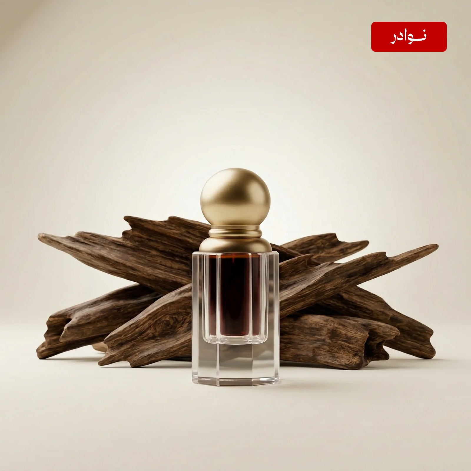 كوياي قديم 2010